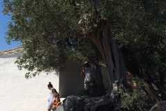 Skopelos-45-1