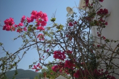 Skopelos-53