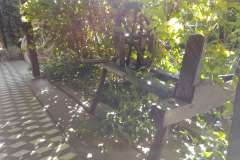 Sombor-11