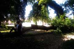 Sombor-31