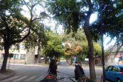 Sombor-53