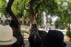 Sombor-54