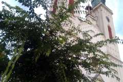 Sombor-69