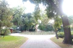 Sombor-70