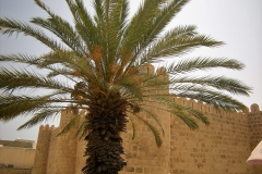 Tunis-Sousse-17