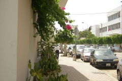 Tunis-Sousse-33