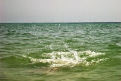 Tunis-Sousse-55
