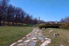 Sumarice-Kragujevac-14