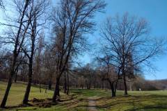 Sumarice-Kragujevac-15