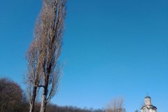 Sumarice-Kragujevac-16