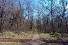 Sumarice-Kragujevac-19