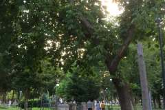 trebinje-80