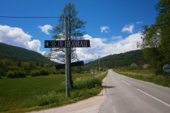 Zelenkovac-1