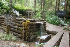zelenkovac-3