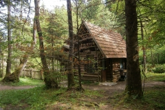 zelenkovac-45