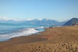alžir