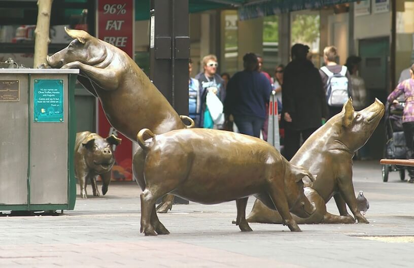 life siyed pigs on streets of adeleide sculptures