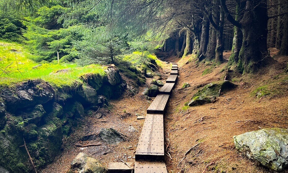 Pešačka staza u šumi Ballinastoe, Nacionalni Park Wicklow
